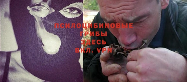 spice Кодинск
