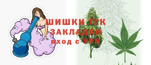 ECSTASY Костерёво