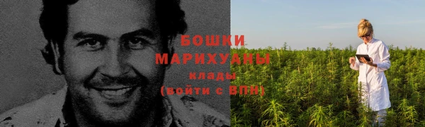 ECSTASY Костерёво
