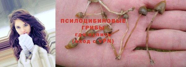 бутират Коряжма