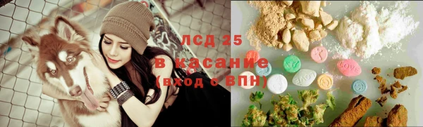 ECSTASY Костерёво